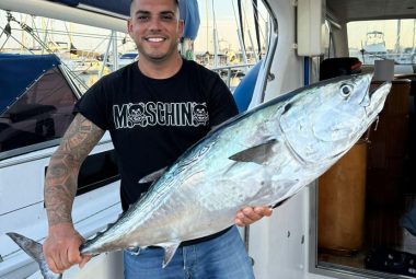 fish1